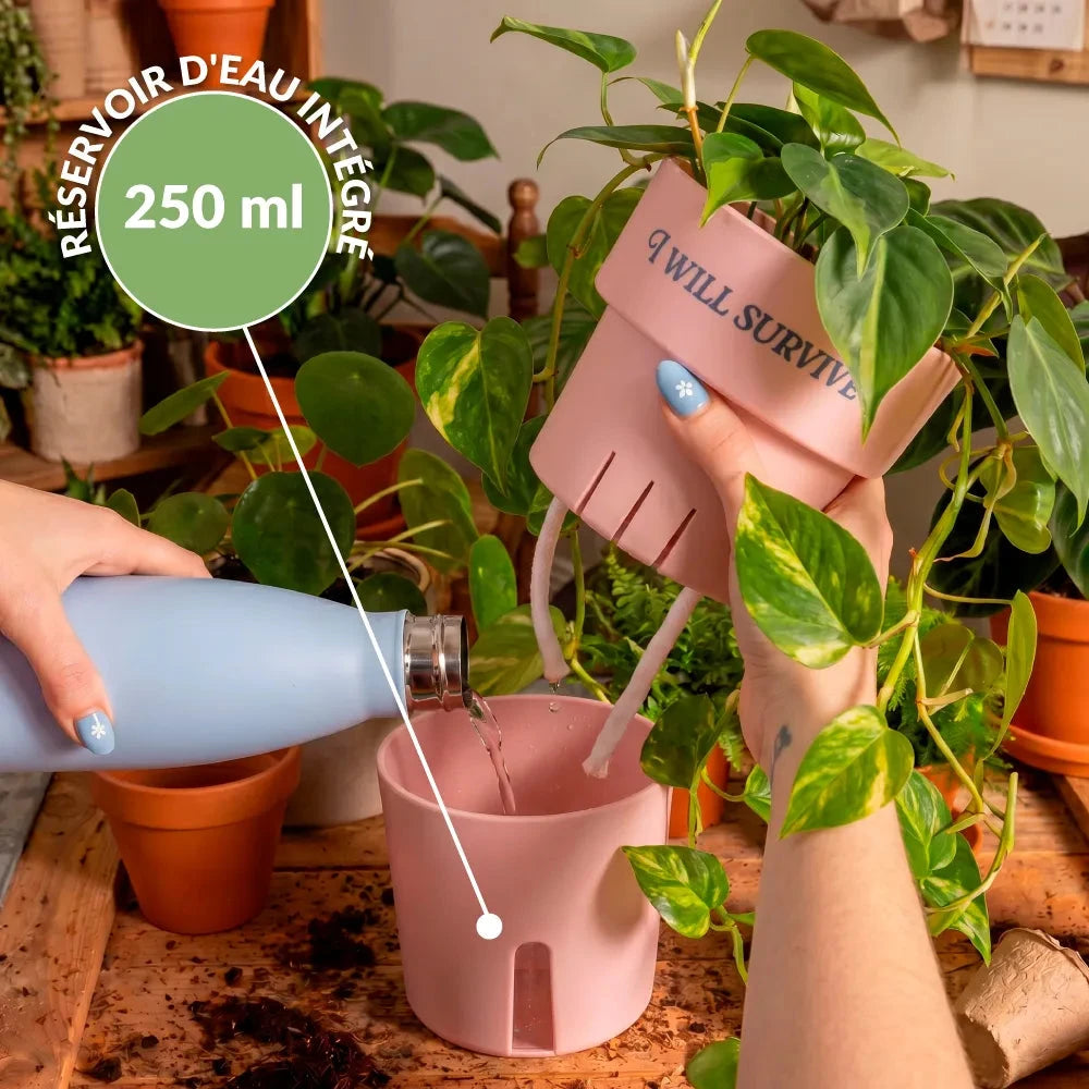 Pot auto-arrosant « I Will Survive » : Idée cadeau originale Boutique Boutique Missa Arles