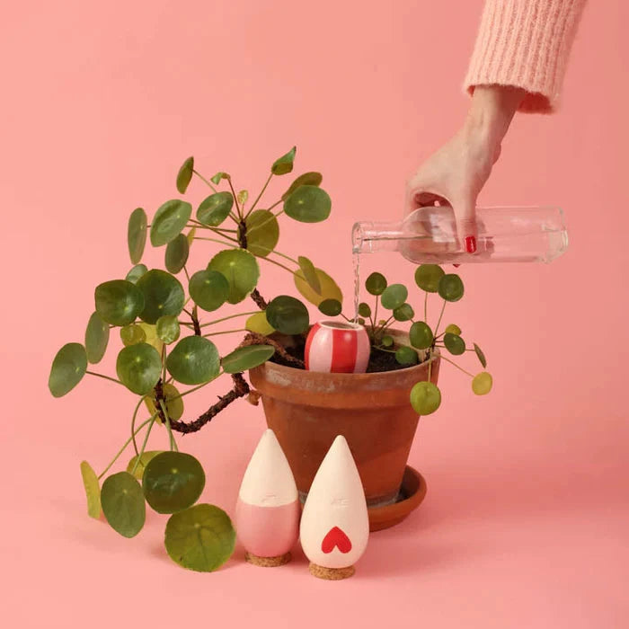Trio mini ollas Pepin Boutique Pepin