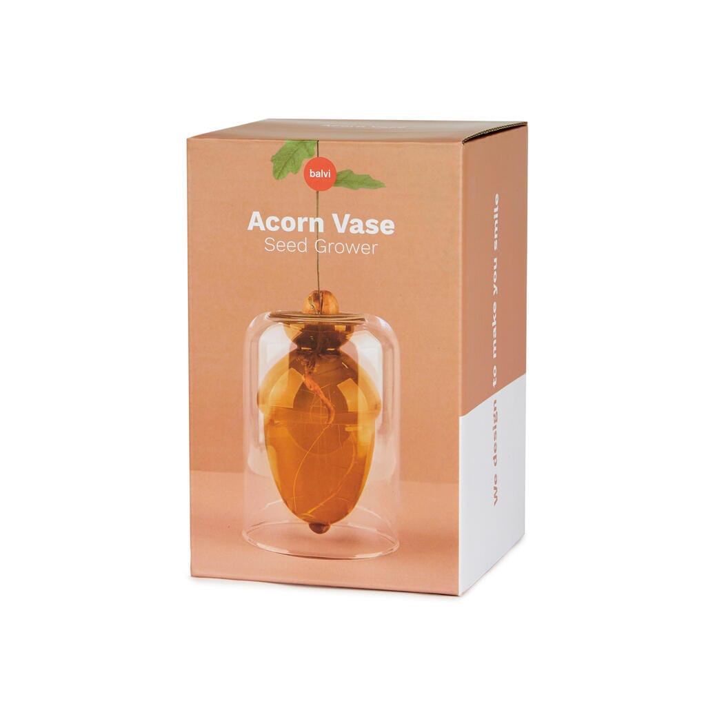 Vase pour germination Boutique Balvi