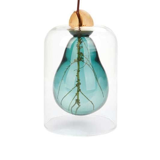 Vase pour germination Boutique Balvi Vert