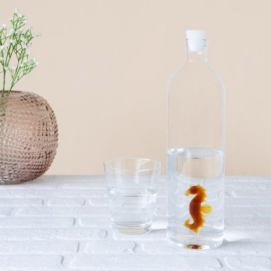 Bouteille Hippocampe Seahorse - Missa Arles