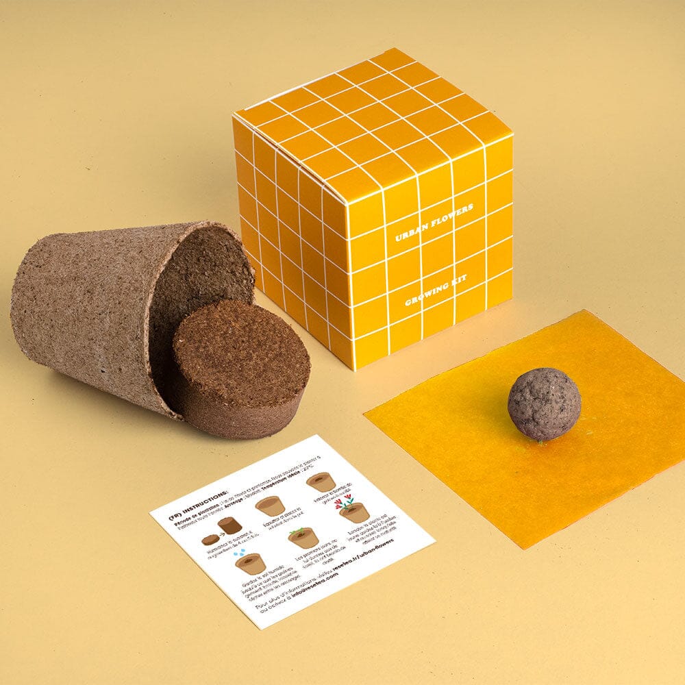 Kit à planter Urban Flowers - Resetea Boutique Resetea Jaune 