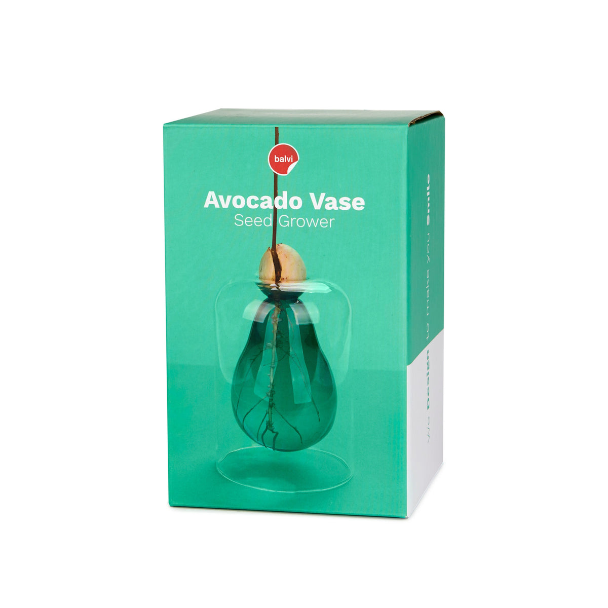 Vase pour germination Boutique Balvi 