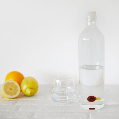 Bouteille poisson globe / Globefish en verre borosilicate - Missa Arles